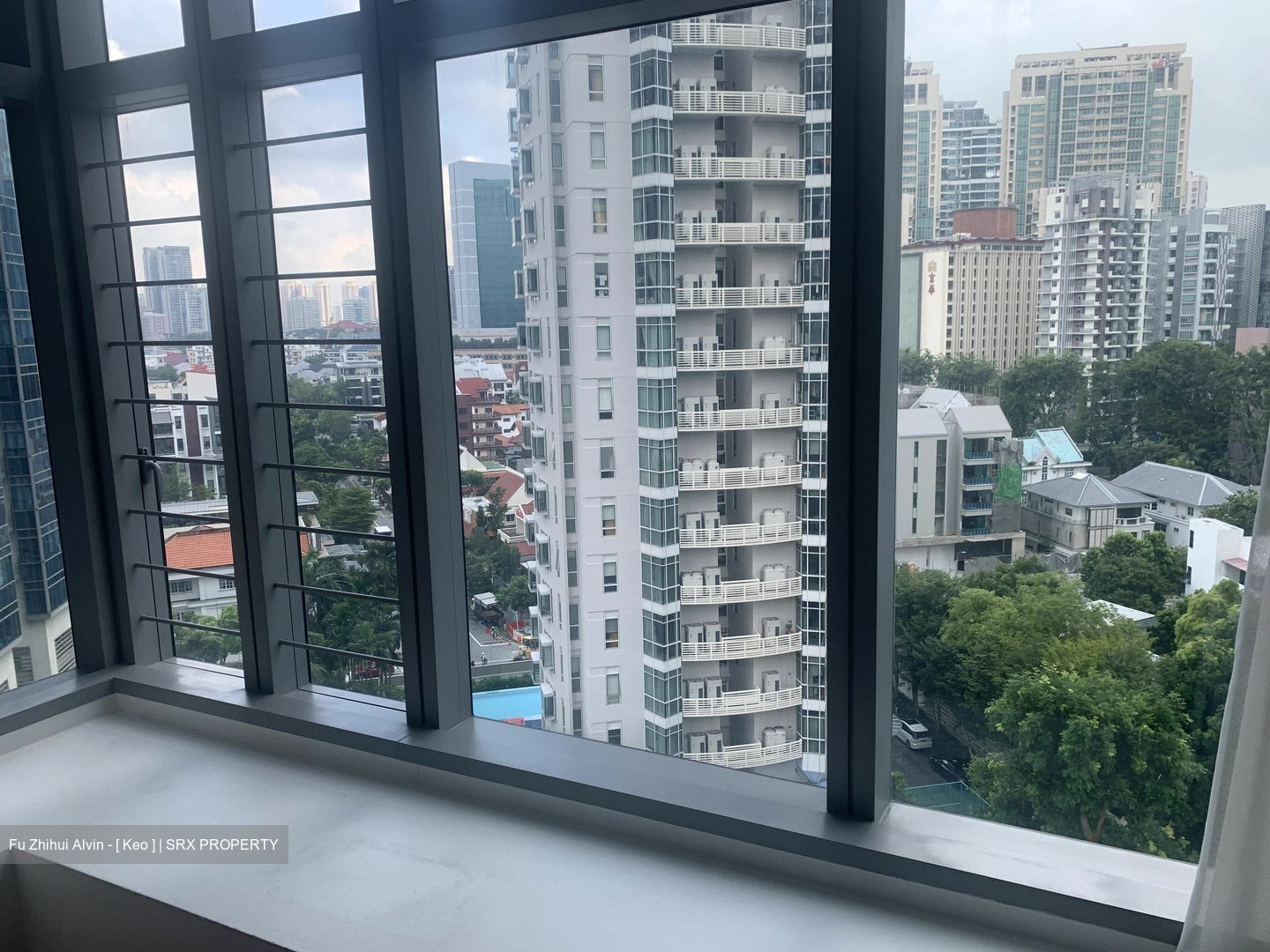 Residences @ Evelyn (D11), Condominium #491696061